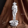Birth of Venus Resin Statue Botticelli Inspired Greek Goddess Sculpture Roman Mythology Decor Classic Art Figure for Home Desk
