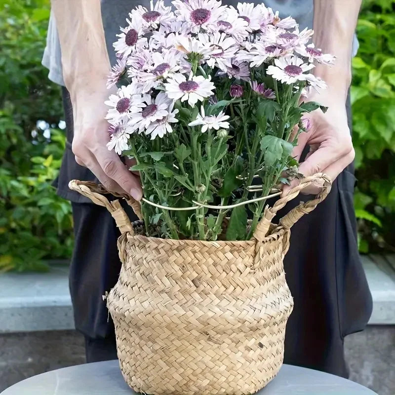 1 soporte grande para plantas colgantes, ganchos de hierro, adecuado para la decoración de macetas, uso interior y exterior