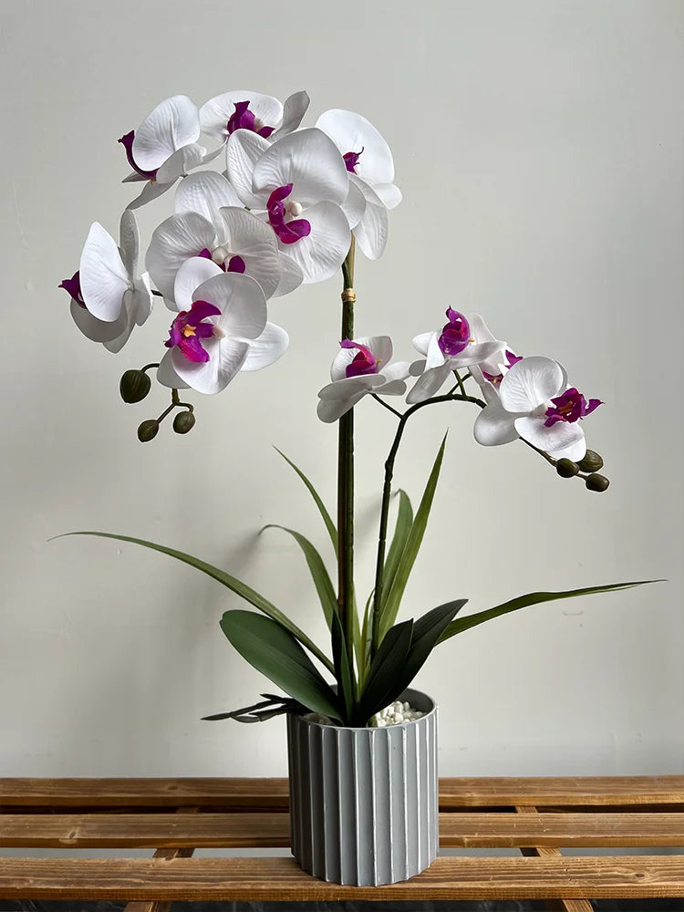 Phalaenopsis Maceta Bonsai Flor Artificial con Hoja Planta en Maceta Arreglo Floral Orquídea Artificial Decoración Interior Salón