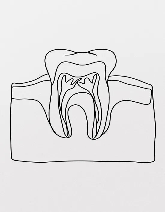 Dental Appliances for Dental Health Minimalist Teeth Dentistry Decor Canvas Painting Wall Picture Dental Hospital Wall Art Decor