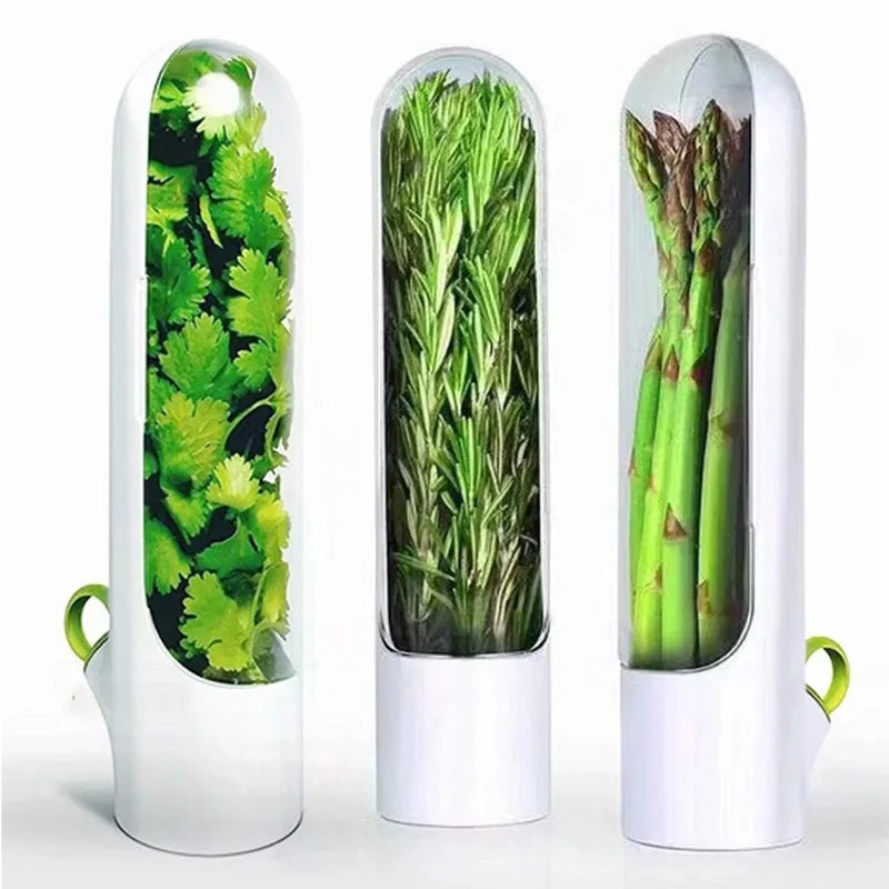Contenant de conservation d'herbes aromatiques pour réfrigérateur, garde-herbes fraîches, bouteille de conservation pour vanille et légumes, accessoires de cuisine