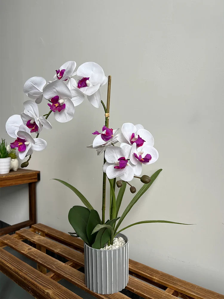Phalaenopsis Maceta Bonsai Flor Artificial con Hoja Planta en Maceta Arreglo Floral Orquídea Artificial Decoración Interior Salón