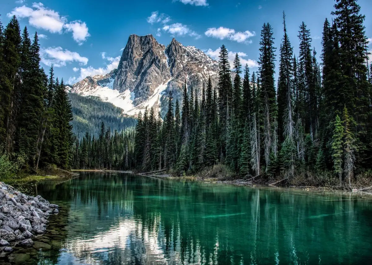 Nature Paysage Forêt Verte Montagne Lac Bateau Poster Impression sur Toile Tableau Mural Images Décoration Moderne Salon Maison