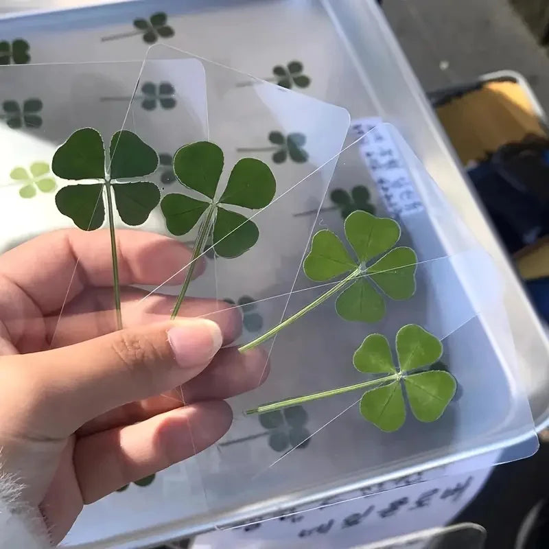 15 unidades de postales de trébol de cuatro hojas de simulación de la suerte, tallos de trébol, tarjetas transparentes de los deseos, ideales para marcapáginas y decoraciones