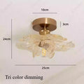 Lámpara de techo LED moderna minimalista con pétalos de flores para sala de estar, pasillo, balcón, iluminación decorativa E27