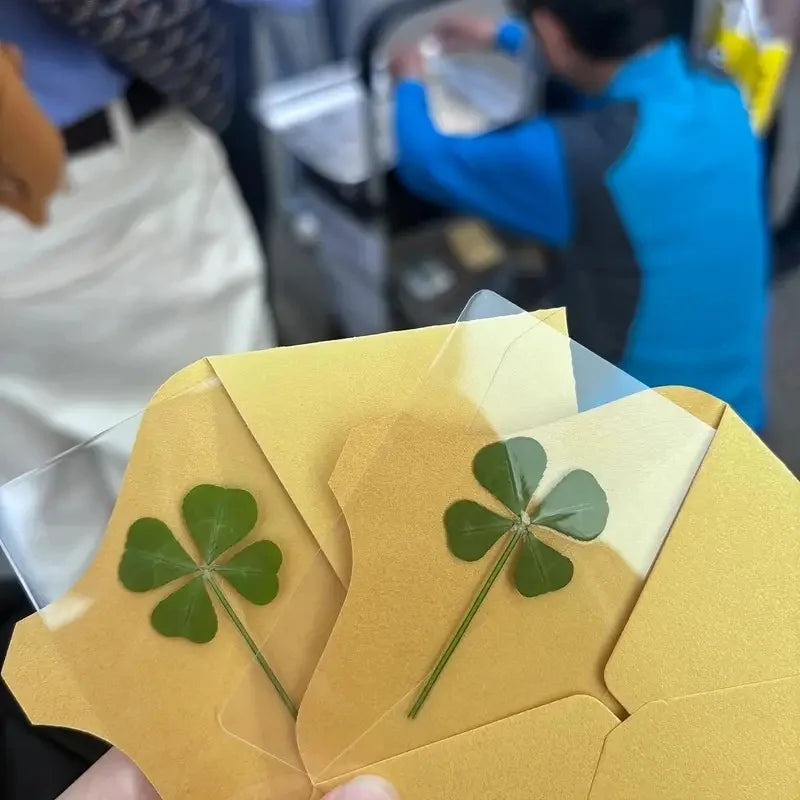 15 unidades de postales de trébol de cuatro hojas de simulación de la suerte, tallos de trébol, tarjetas transparentes de los deseos, ideales para marcapáginas y decoraciones