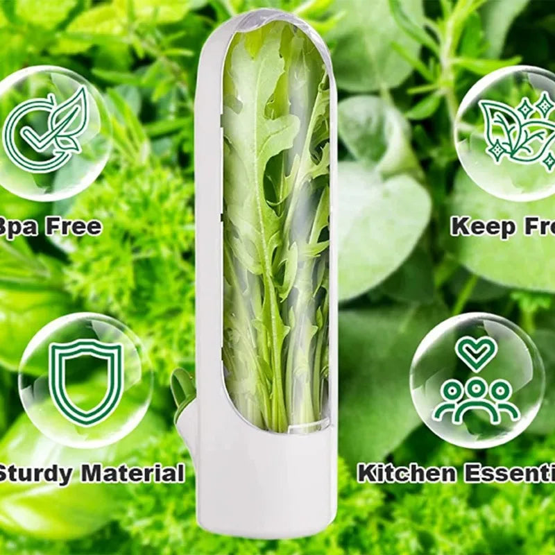 Contenant de conservation d'herbes aromatiques pour réfrigérateur, garde-herbes fraîches, bouteille de conservation pour vanille et légumes, accessoires de cuisine