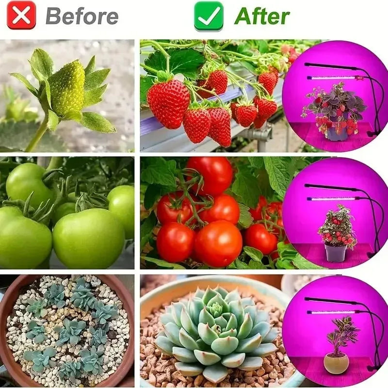 Lampe de croissance LED pour plantes, 10 niveaux de luminosité réglable, spectre complet, minuterie 3H/9H/12H, pour jardin intérieur et légumes