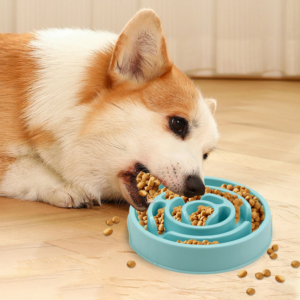 Cuenco de Alimentación Lenta para Perros, Divertido, Antideslizante, Anti-Glotones, para Comer Más Despacio, Respetuoso con el Medio Ambiente, para Perros Pequeños, Medianos y Grandes, Cachorros