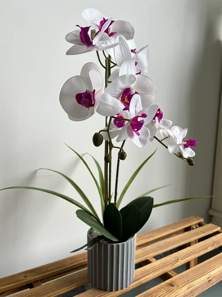 Phalaenopsis Maceta Bonsai Flor Artificial con Hoja Planta en Maceta Arreglo Floral Orquídea Artificial Decoración Interior Salón