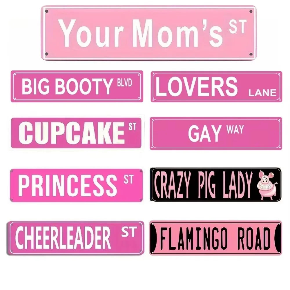 BrandName Aluminum Cheerleading Sign | Cheerleader St Princess St | Vintage Funny Street Decor for Home Club Walls