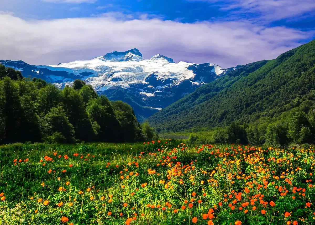 Nature Paysage Forêt Verte Montagne Lac Bateau Poster Impression sur Toile Tableau Mural Images Décoration Moderne Salon Maison