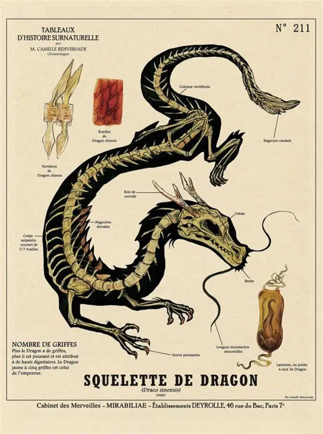 Póster de Unicornio Vintage con Estética Animal, Arte de Pared de Dementor y Dragón, Decoración de Monstruos Mágicos para Halloween, Brujas, Cocina o Habitación