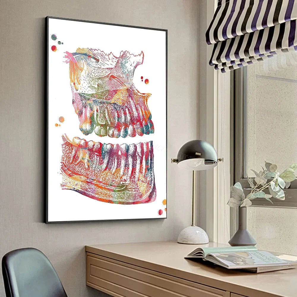 Anatomie Dents Humaines Affiches d'Art Rangée de Dents Illustration Affiche HD Posters Maison Chambre Bar Café Décoration Murale Peinture Photo