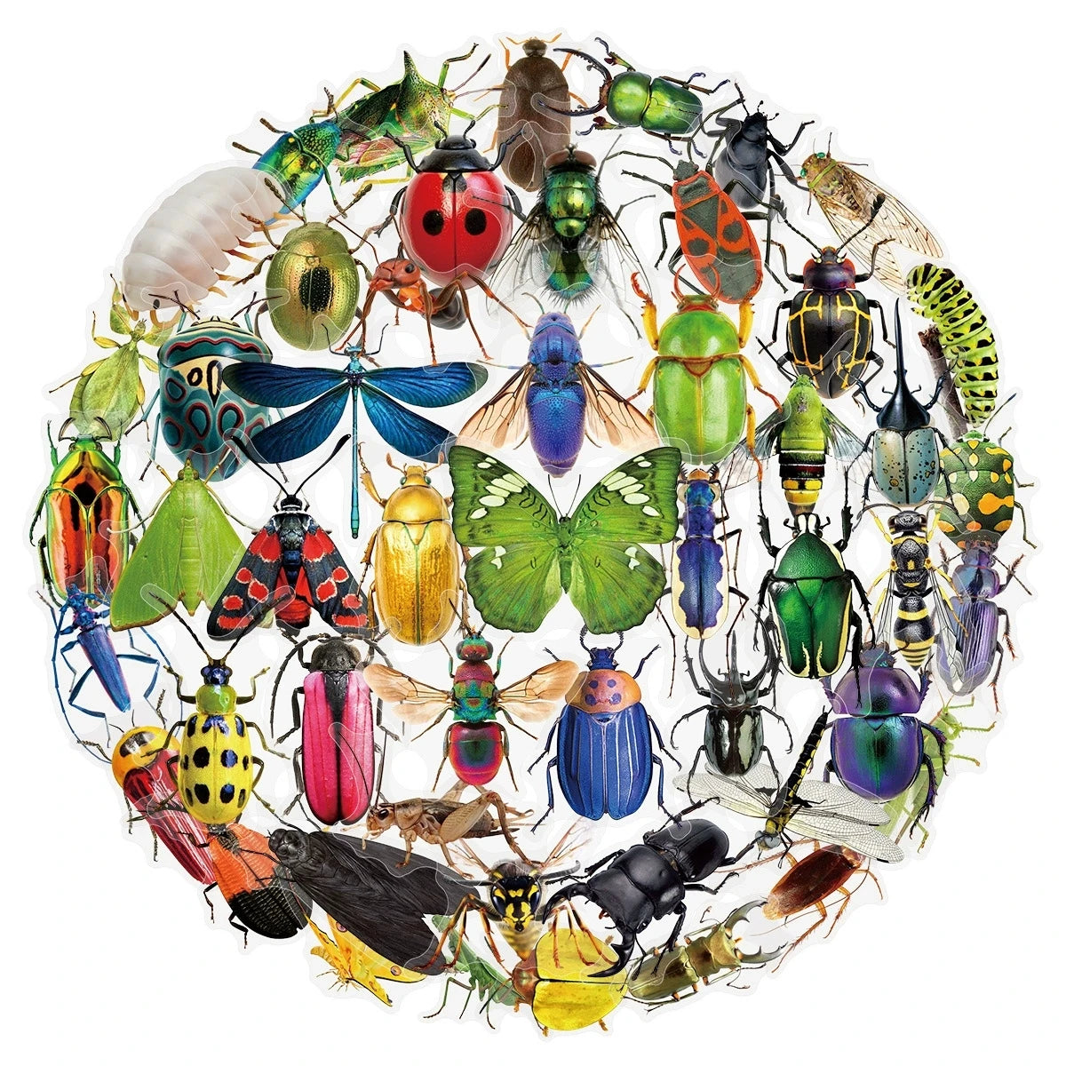 50/100PCS Transparent PET Animal Stationery Stickers Cartoon Creative Insect Pattern DIY Notebook Reward Stickers