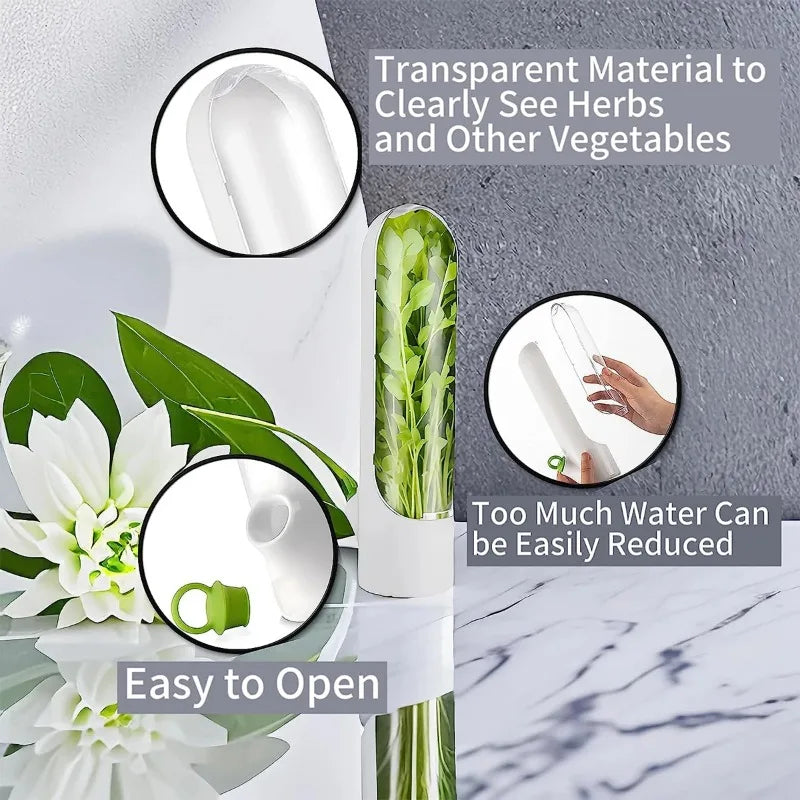 Contenant de conservation d'herbes aromatiques pour réfrigérateur, garde-herbes fraîches, bouteille de conservation pour vanille et légumes, accessoires de cuisine