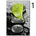 Lámina Decorativa Orquídea Spa Póster Cuadro de Pared
